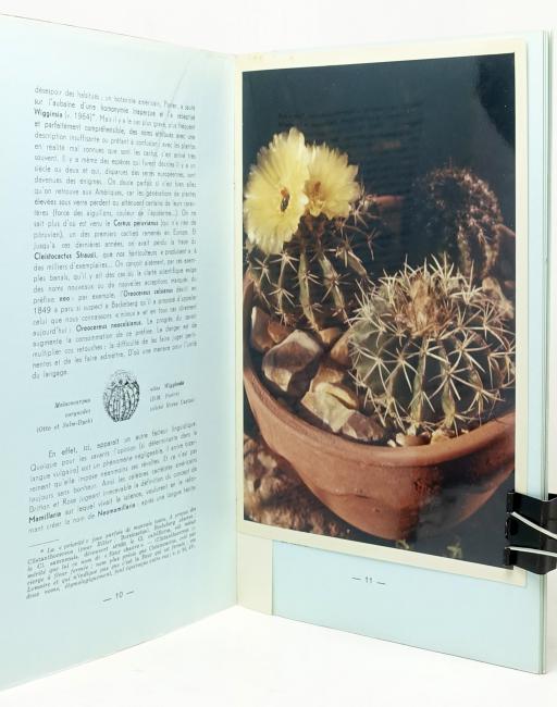 (Cactus) Linguistique d’un vocabulaire scientifique par le Phytographe